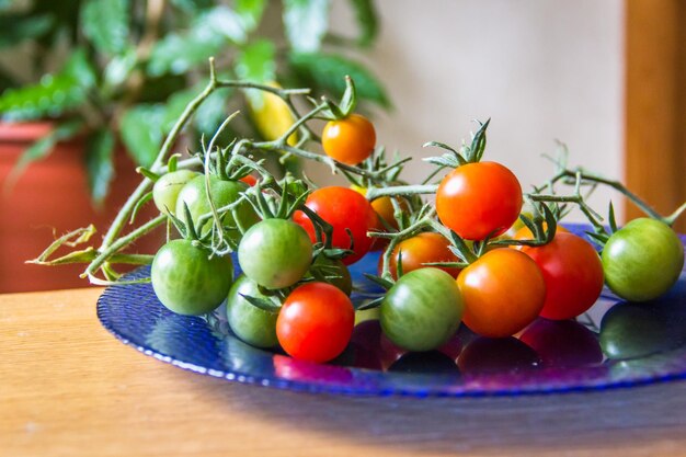 Cherry green and red tomatoes on a blue plate