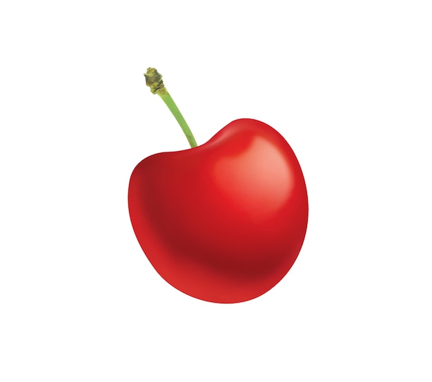 Cherry illustration