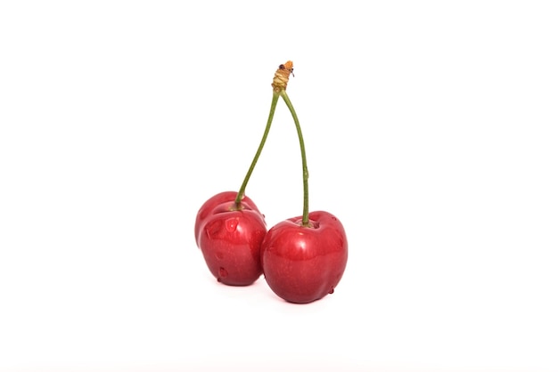 Cherry isolated Cherry on white Cherries With clipping path