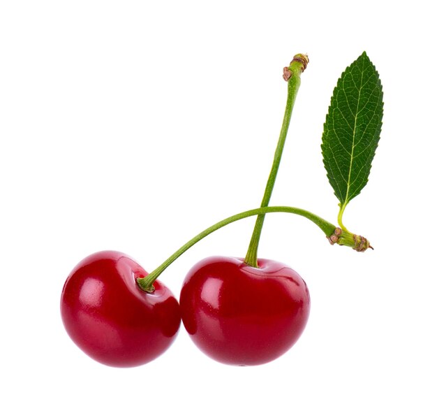 Cherry isolated on white background Red ripe berry of sweet cherry Clipping path