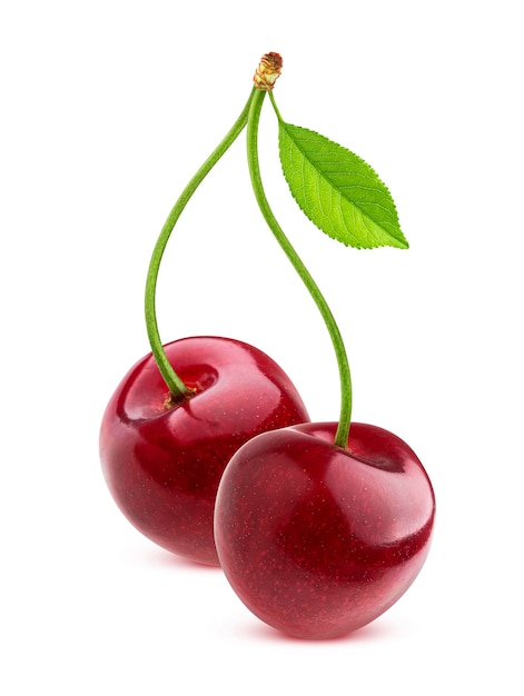 Cherry isolated on white background with clipping path