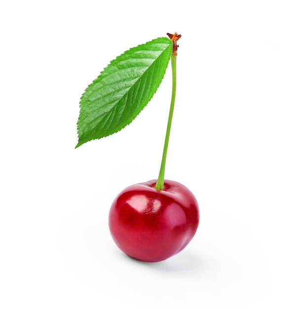 Cherry isolated on white background