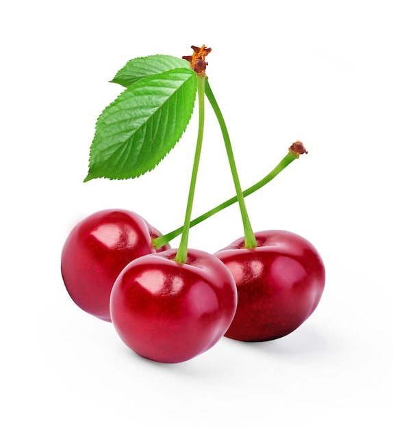 Cherry isolated on white background