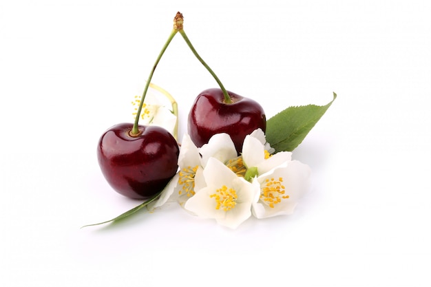 Photo cherry and jasmine isolated on white background