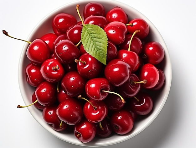 Cherry organic harvesting garden isolated