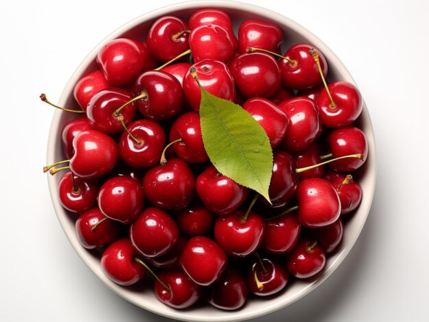 Cherry organic harvesting garden isolated