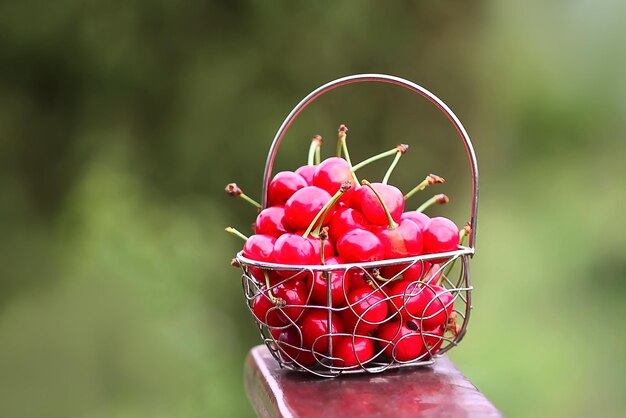 Cherry in small metal basket on wooden railing surface Fresh ripe organic berries