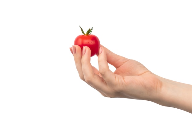 Cherry Tomaten in vrouw hand geïsoleerd op een witte achtergrond photo