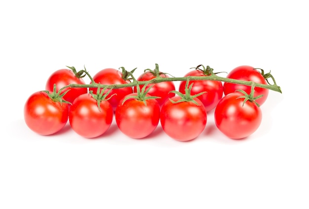 Cherry Tomaten op een tak geïsoleerd op een witte achtergrond