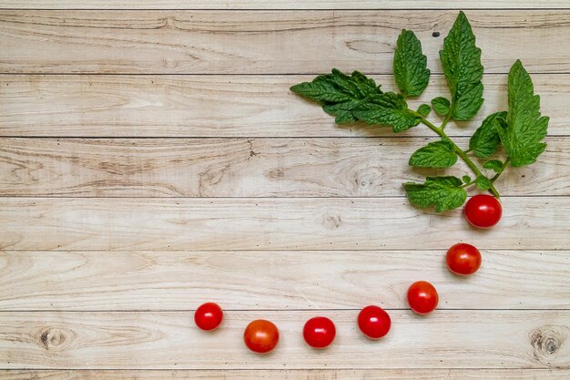 Cherry Tomaten op houten tafel achtergrond donkere lichte bladeren