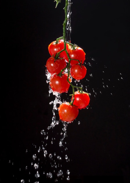 Cherry tomato getting splash of water on black background.