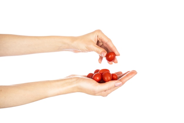 흰색 배경에 고립 된 여자 손에 체리 토마토