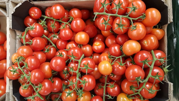 Cherry tomatoes in the box in supermarket