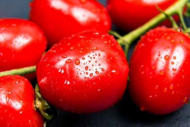 Cherry tomatoes on a branch close-up.