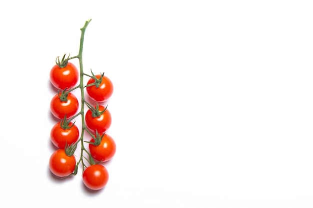 Cherry tomatoes branch isolated on white background . Red tomato. Tomatoes on a branch. Isolated background.