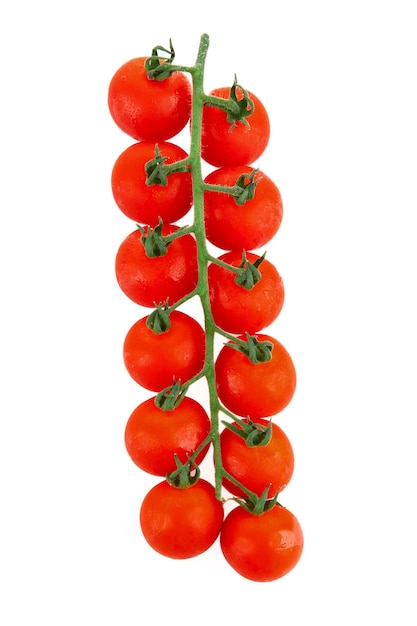 Cherry tomatoes on a branch isolated on white background