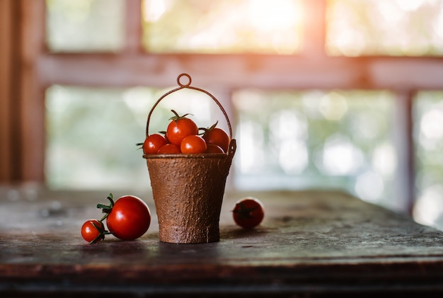 Cherry tomatoes in a decorative rusty old bucket on a dark rustic .