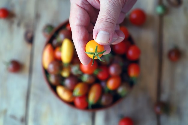 Cherry tomatoes in hand. Multi-colored cherry tomatoes.