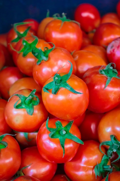 Foto pomodori ciliegia al mercato di bangkok.