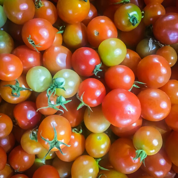 Cherry Tomatoes Red