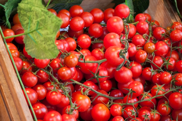 Photo cherry tomatoes