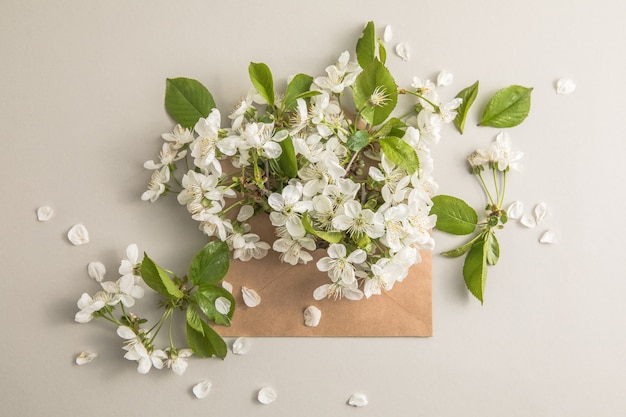 Фото Букет вишневых белых цветов внутри конверта.