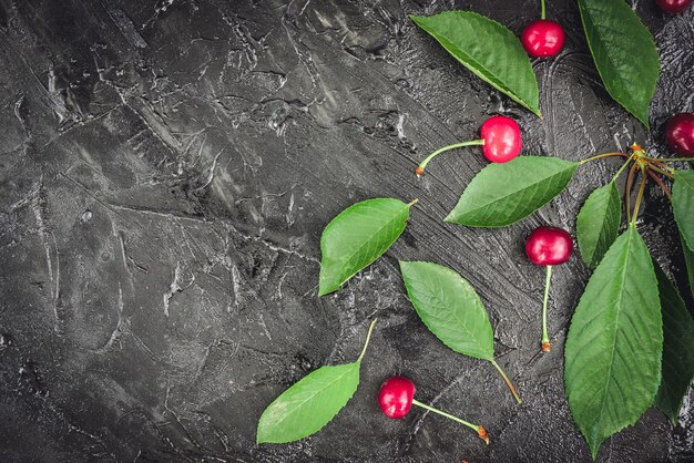 Cherry in white mug with green leaves on dark wood