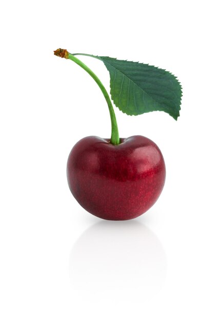 Cherry with a leaf isolated object on a white background