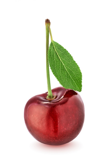 Cherry with leaf isolated on white