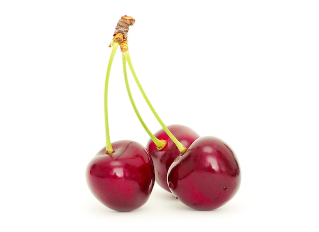 Cherry