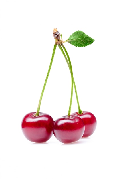 Cherry