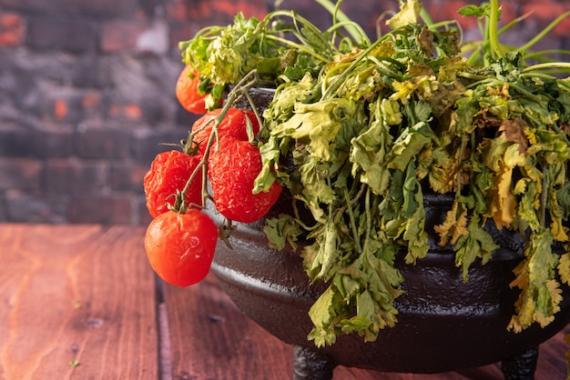 Cherrytomaten, rottende kerstomaten en groene geur die rotten in een ijzeren ketel op een tafel, donkere achtergrond, selectieve focus.