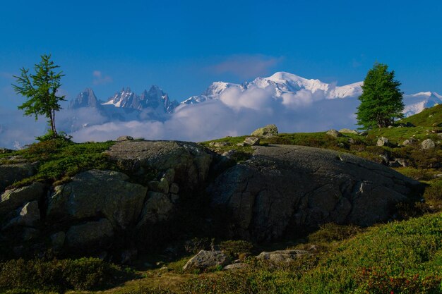 Cheserysargentierechamonixhaute savoiefrance