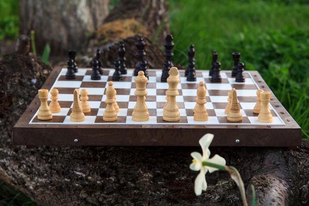 Chess board with chess pieces on old tree trunk with green grass on the background