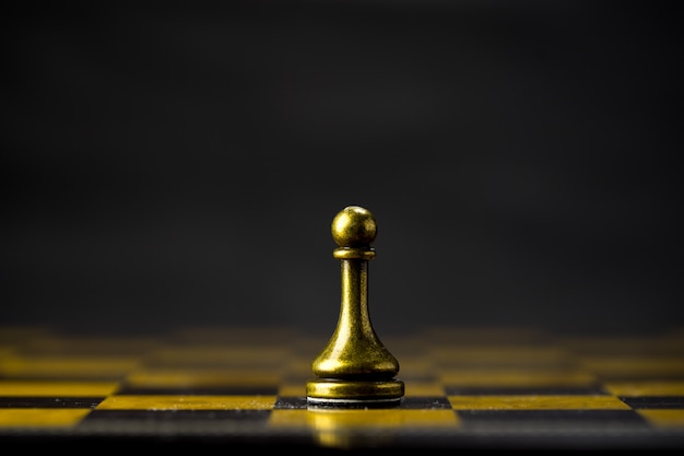 Chess business concept, leader & success