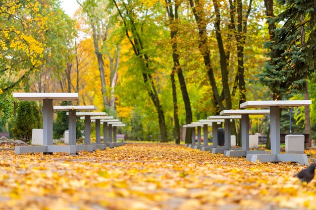 Chess tables covered with yellow leaves in an autumn park.