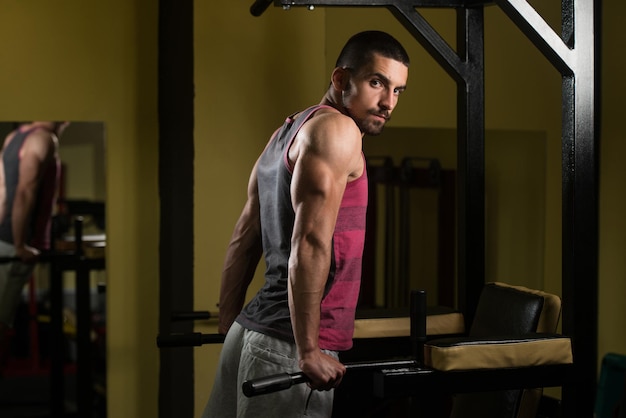 Chest And Triceps Exercise on Parallel Bars