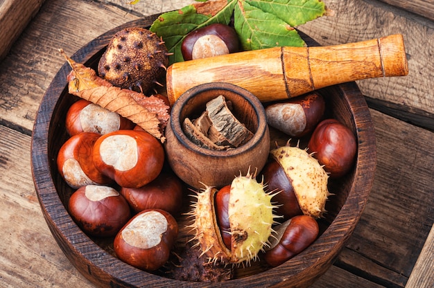 Chestnut in herbal medicine