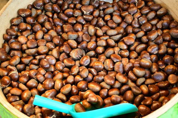 Chestnut lat Castanea Rijpe kastanjevruchten in een groot bassin