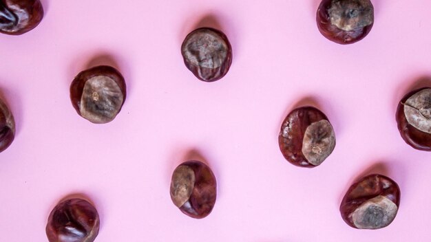 Photo chestnut pattern pink background