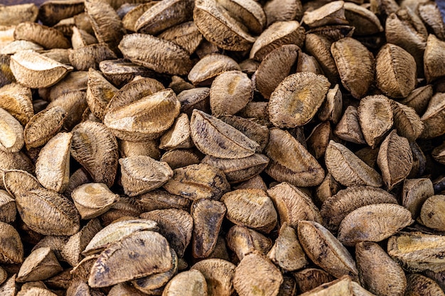 Chestnut texture, brazil nuts, us amazonian used in world cuisine