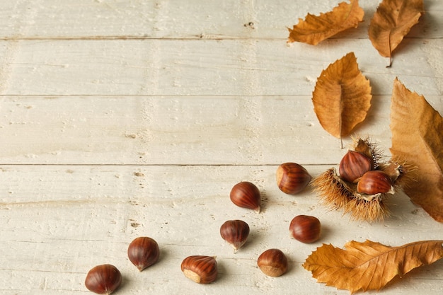 Photo chestnuts and chestnut leaves on white rustic table
