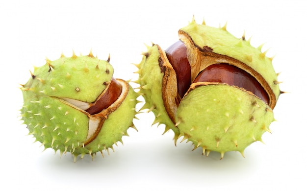 Castagne in buccia.