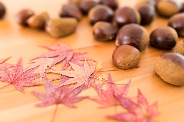 Foto castagne e foglie di acero