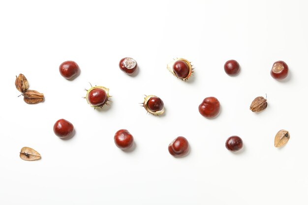 Chestnuts in shell and without on a white background