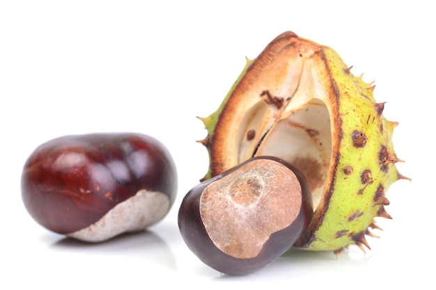 Chestnuts on a white background