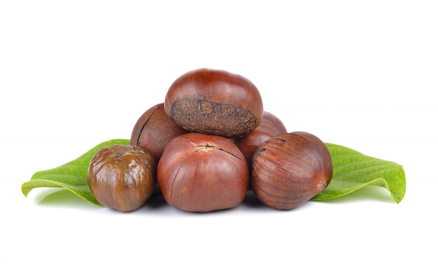 Chestnuts on white wall