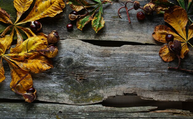 Chestnuts and yellow leaf on the old wooden background, Autumn concept