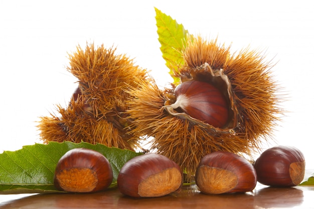 Chestnuts