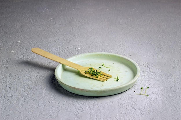 Chia microgreens close-up Spruiten op een bord dieet idee selectieve focus